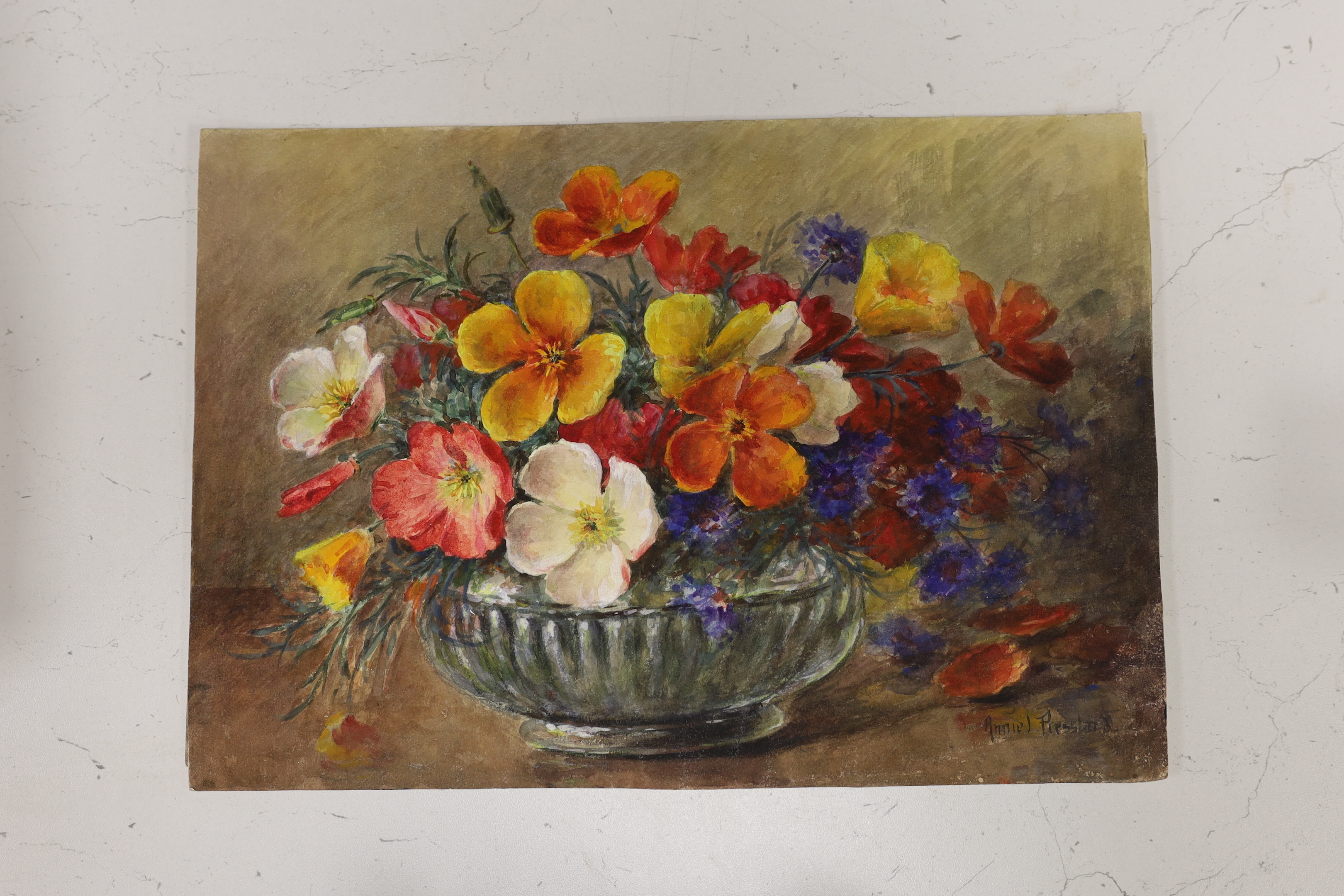 Annie Louise Pressland (1862-1933), pair of watercolours on card, Still life’s of flowers in vases, each signed, unframed, 24 x 34cm